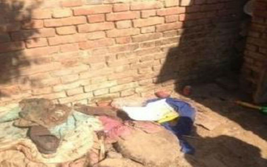 Bocah Tiongkok Dipaksa Hidup di Kandang Babi