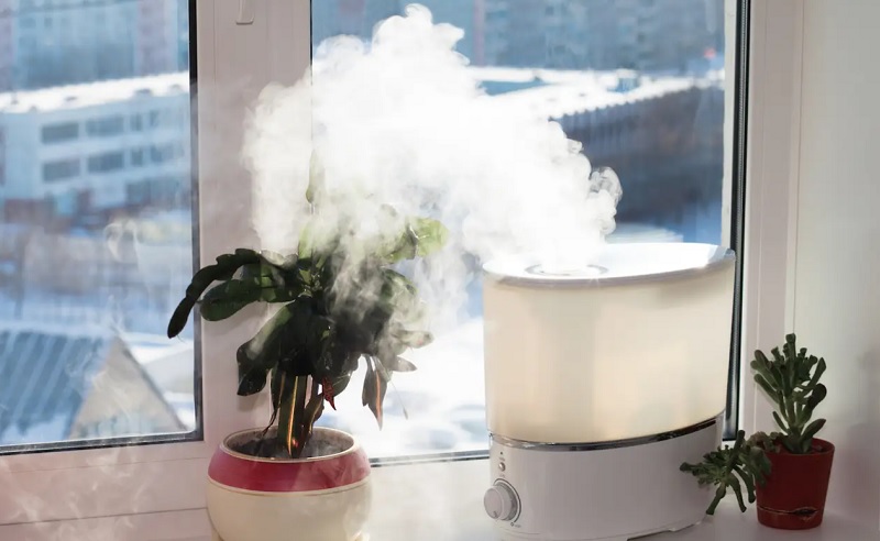 Pengertian Humidifier, Fungsi dan Kapan Harus Digunakan