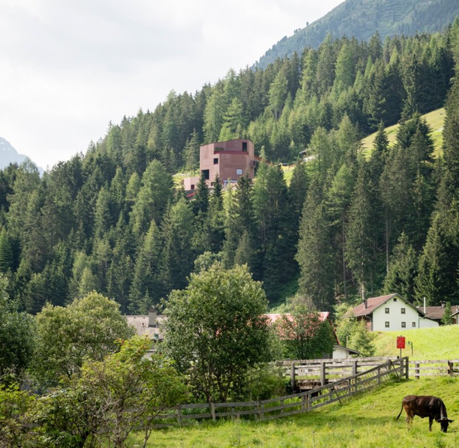 Austria Punya Museum yang Dibuat untuk Kambing