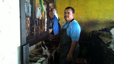 Tak Ada Ayam <i>Boiler</i> Ayam Kampung pun Jadi