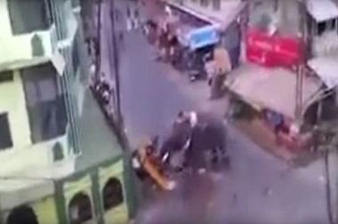 Mengamuk saat Festival, Gajah Hancurkan Deretan Toko di India