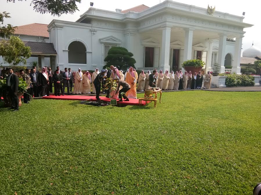 Yenny Wahid: Raja Salman Puji Moto Kerja Jokowi