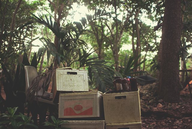 Hanya 20 Persen Sampah Plastik Daur Ulang yang Laku Terjual