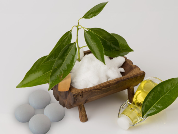 Tanpa Obat, Begini Cara Mengusir Nyamuk yang Efektif