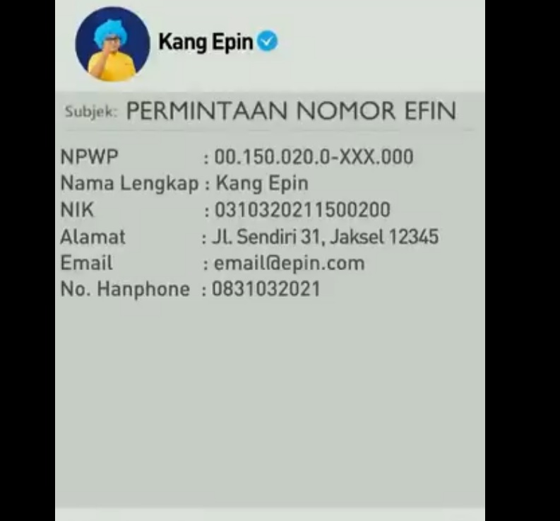 Cara pengisian email EFIN