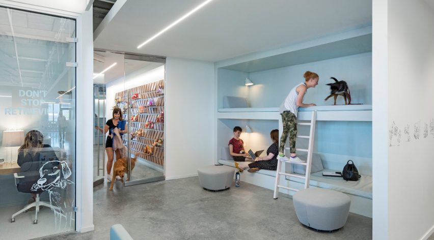 Desain Kantor yang Nyaman untuk Karyawan dan Anjingnya
