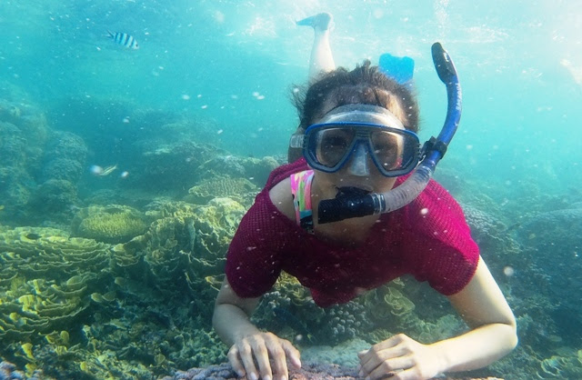 Underwater Charm of Karimunjawa