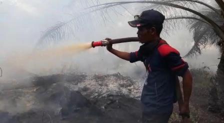 Lahan Gambut Kebun Kelapa Sawit di Siak Terbakar