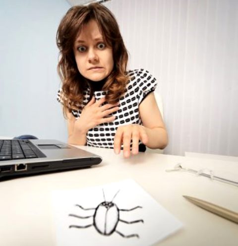 Kenapa Anda Takut dengan Kecoak? Ini Alasannya