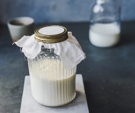 kefir