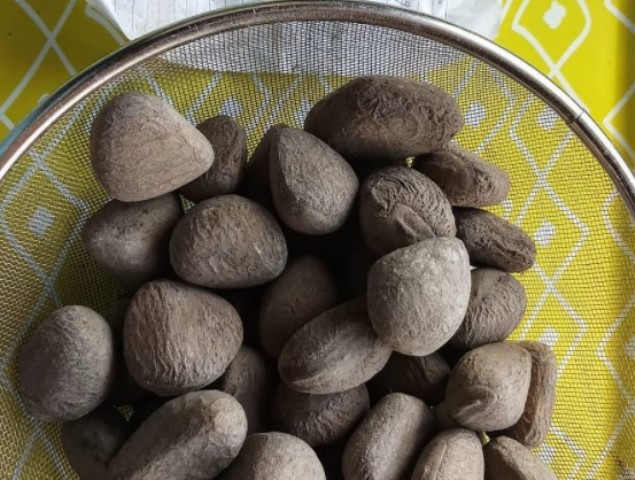 keluak