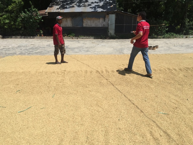 Kepala Badan Ketahanan Pangan Cek Gudang Pangan