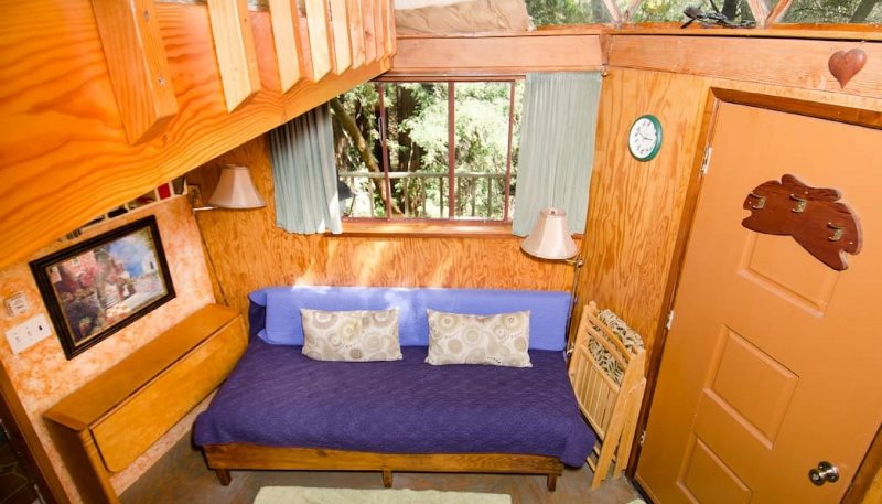 Mushroom Dome Cabin, Kabin Jamur Terpopuler di Airbnb