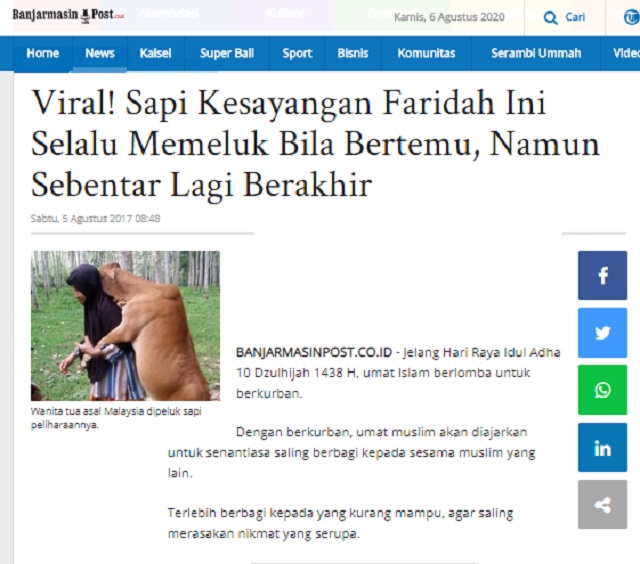 [Cek Fakta] Foto Sapi Peluk Majikannya sebelum Disembelih dan Dagingnya Berlafaz Allah SWT? Ini Faktanya