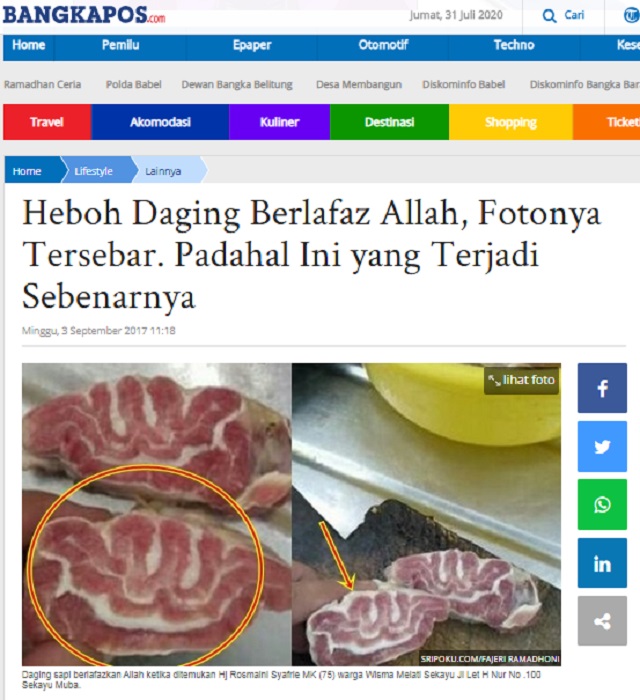 [Cek Fakta] Foto Sapi Peluk Majikannya sebelum Disembelih dan Dagingnya Berlafaz Allah SWT? Ini Faktanya