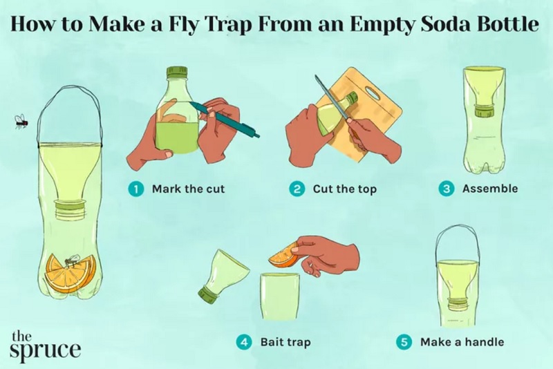 Bikin Perangkap Lalat dari Botol Soda, Begini Caranya