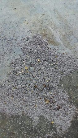 Gunung Agung Keluarkan Material Lapili