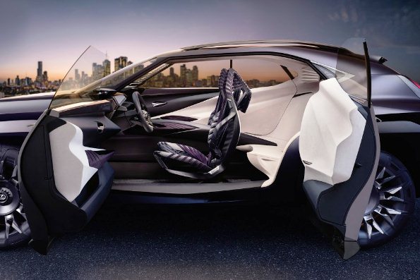 Lexus UX & Jok Anyamannya