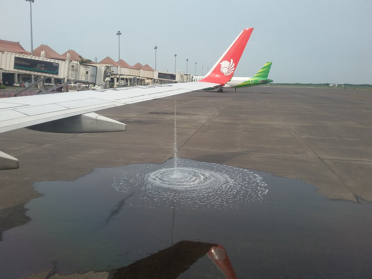 Avtur Meluber, Pemerintah Hanya Menegur Lion Air