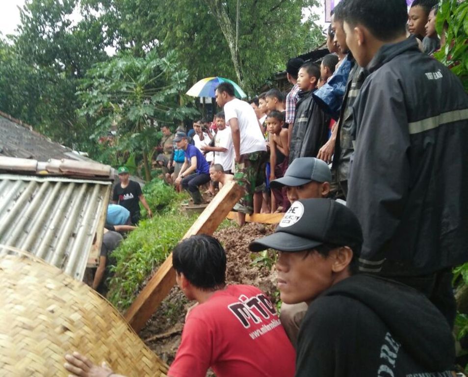 Hujan & Angin Kencang Robohkan Pohon di Bandung