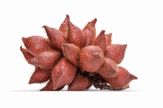 makan salak saat hamil