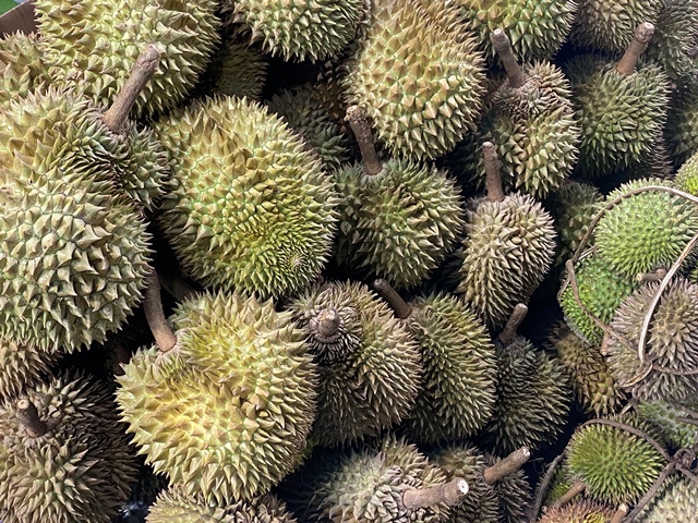 Makanan yang Bisa Dicoba di Palu