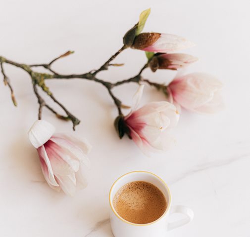 manfaat bunga magnolia untuk kecantikan