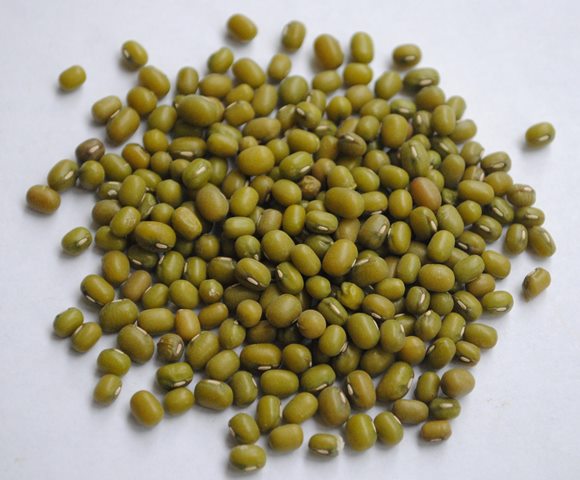 manfaat kacang hijau untuk kesehatan anak