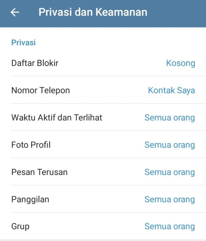 Cara Mudah Menyembunyikan Status Online di Telegram