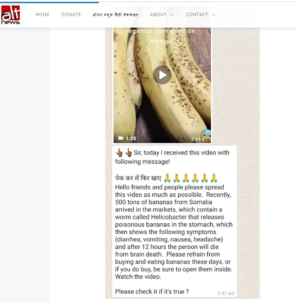 [Cek Fakta] Video 500 Ton Pisang Mengandung Cacing Beracun dari Somalia Tiba di Sejumlah Pasar Jakarta? Ini Faktanya