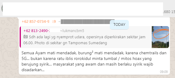 [Cek Fakta] Banyak Burung Mati karena Radiasi Sinyal 5G? Ini Faktanya