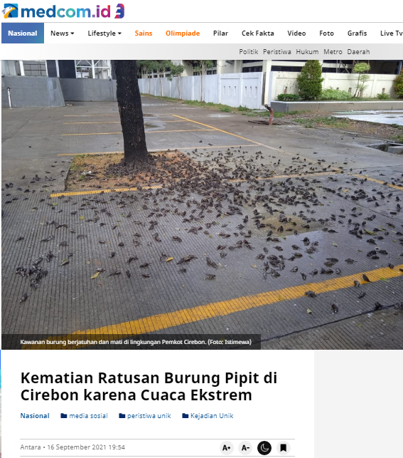 [Cek Fakta] Banyak Burung Mati karena Radiasi Sinyal 5G? Ini Faktanya