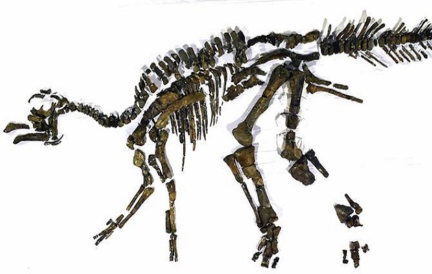 Spesies Baru Dinosaurus Ditemukan di Jepang