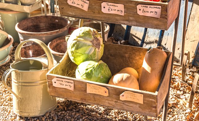 Solusi untuk Sakit dan Nyeri Payudara