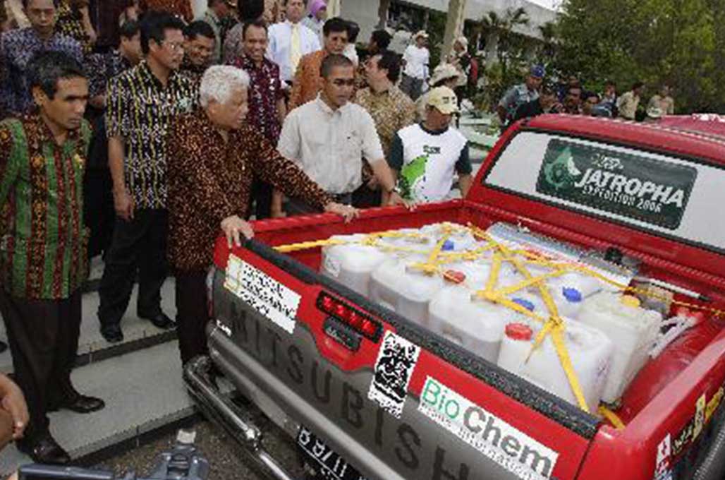 Rencana Biofuel 100 Persen, De Javu Jatropha Oil 2006