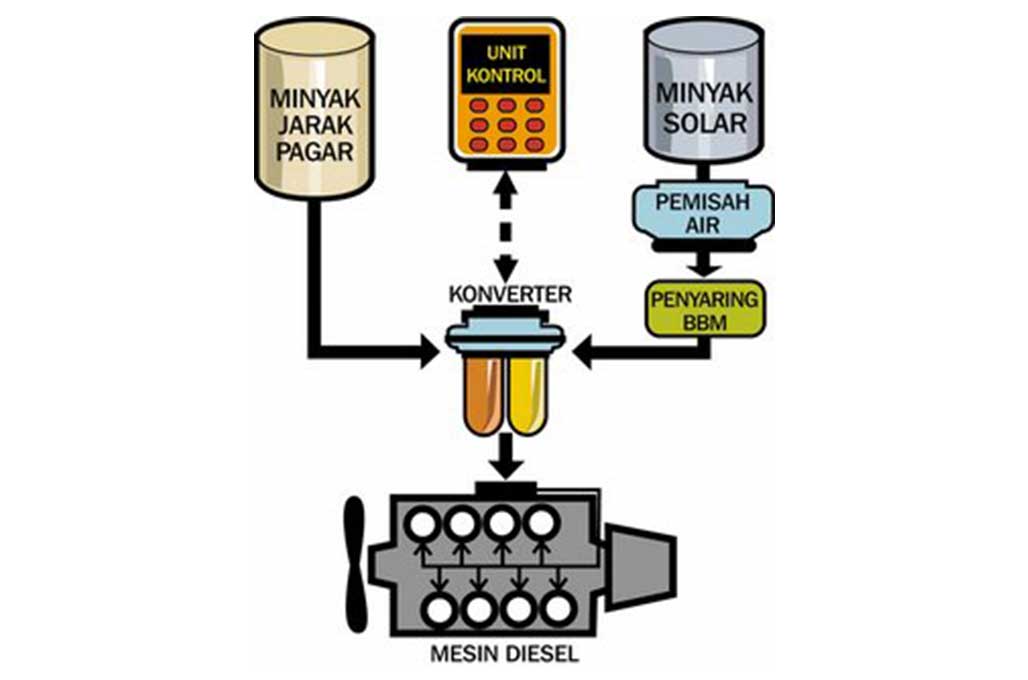 Rencana Biofuel 100 Persen, De Javu Jatropha Oil 2006