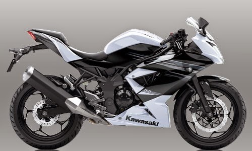 Ninja 150 <i>Discontinue</i>, Kawasaki Arahkan Konsumen ke RR Mono