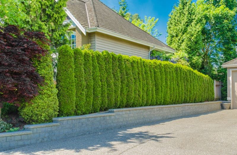 5 Inspirasi Pagar untuk Rumah Minimalis