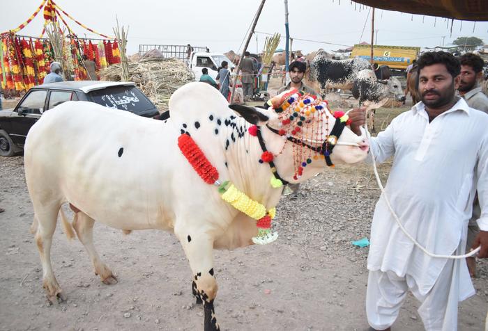Idul Adha di Islamabad