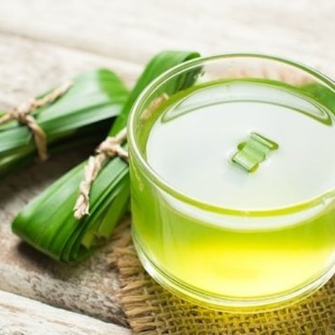 pandan