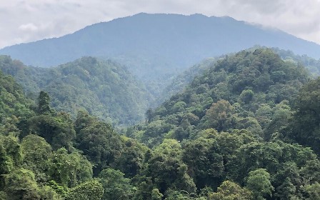 Menjajal Jembatan Terpanjang se-Asia Tenggara