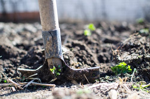 Kesalahan Berkebun yang Patut Diketahui
