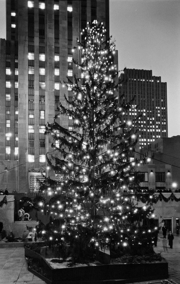 Kisah Pohon Natal, Mesir Kuno hingga New York