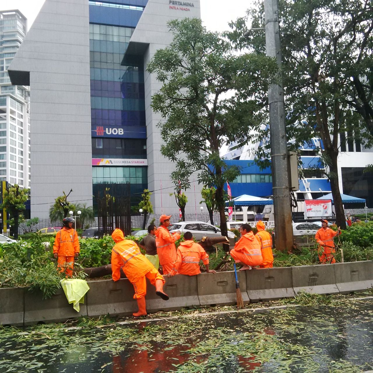 Hujan Deras Disertai Angin Kencang, Pohon di Jalan Rasuna Said Tumbang