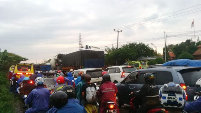 Pantura Dibuat Macet Panjang oleh Pohon Tumbang