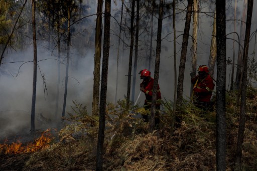 Gelombang Panas Eropa Capai Polandia, Yunani saat Bergerak ke timur