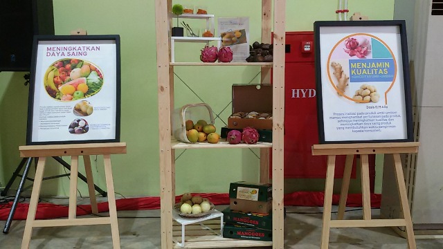 Keunggulan Produk yang Melalui Proses Iradiasi Gamma