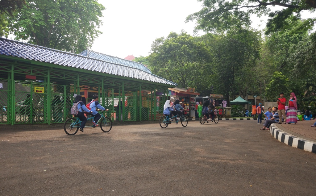 Asyiknya Menikmati Suasana Ragunan dengan Bersepeda