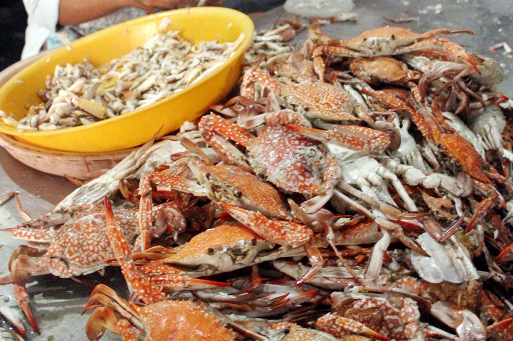 Harga Rajungan Jatuh, Nelayan Cirebon Mengeluh