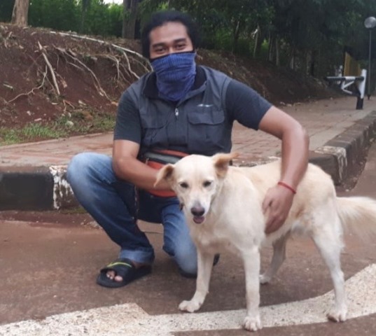 Melihat Anjing Liar, Mereka #BangkitDari Keterpurukan